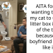 Man Demands From Girlfriend To Litterbox Train Her Cat Who Uses The Toilet Or He Would Leave, GF Refuses