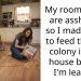Student Gets Back At Sloppy Roommates By Helping The Ant Colony In Their Apartment Thrive