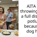 Drama Brews At Potluck Party As Lady Gets Humiliated To Tears For Bringing Homemade Food Garnished With Dog Hair