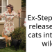 Cruel Stepmom Releases Redditor’s Cats Into The Woods And Leaves State To Avoid Court