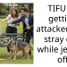 Man Shares Story Of How A Stray Dog Attacked Him In The Middle Of The Night While He Was Pleasuring Himself