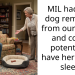 Desperate Redditor Seeks Advice On What To Do After Her MIL Reported Their Dog As An Illegal Breed, Causing Police To Take It Away