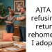 Redditor Locked In Heated Standoff For Refusing To Return Friend’s Cat After Adopting It Following Friend’s Not-So-Brief Relocation