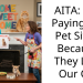 Redditor Decides To Not Pay His Pet Sitter Because He Lost Their Cat