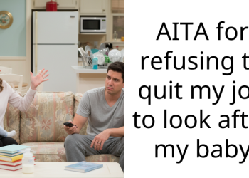 AITA for refusing to quit my job to look after my baby