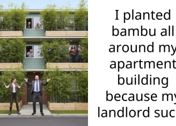 I planted bambu all around my apartment building because my landlord sucks