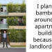 I planted bambu all around my apartment building because my landlord sucks