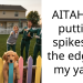 AITAH for putting spikes on the edge of my yard?
