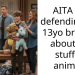 AITA for defending my 13yo brother about his stuffed animals