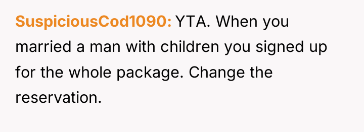 SuspiciousCod1090 YTA. When you married a man with children you...