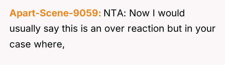 Apart-Scene-9059 NTA: Now I would usually say this is an...