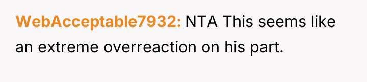 WebAcceptable7932 NTA This seems like an extreme overreaction on his...
