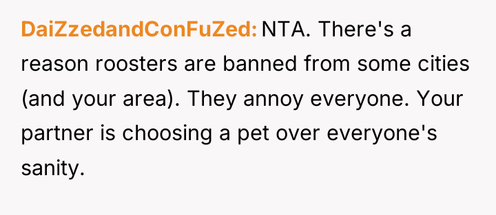 DaiZzedandConFuZed NTA. There's a reason roosters are banned from some...