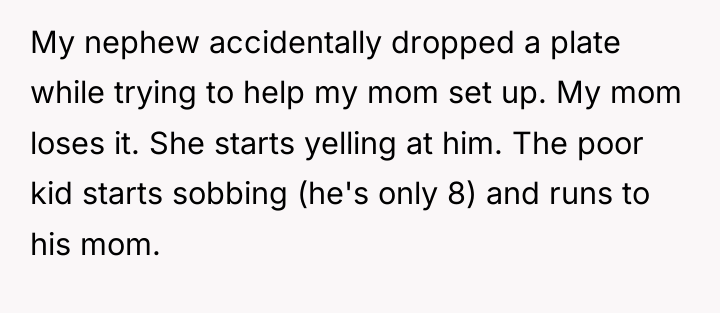 My nephew accidentally dropped a plate while trying to help...