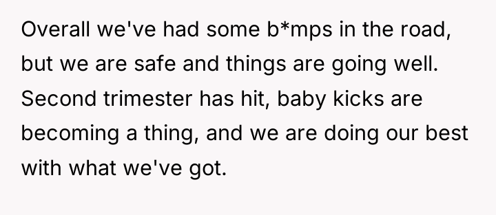 Overall we've had some b*mps in the road, but we...