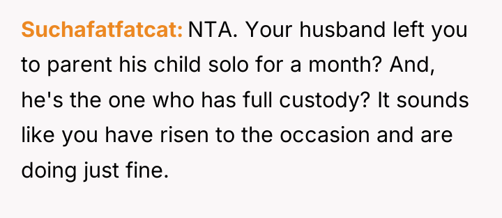 Suchafatfatcat NTA. Your husband left you to parent his child...