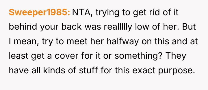 Sweeper1985 NTA, trying to get rid of it behind your...