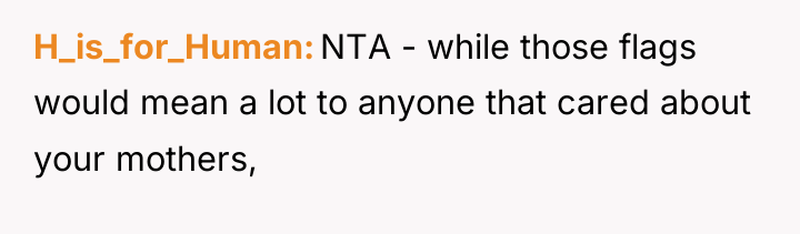 H_is_for_Human NTA - while those flags would mean a lot...