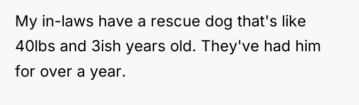 My in-laws have a rescue dog that's like 40lbs and...