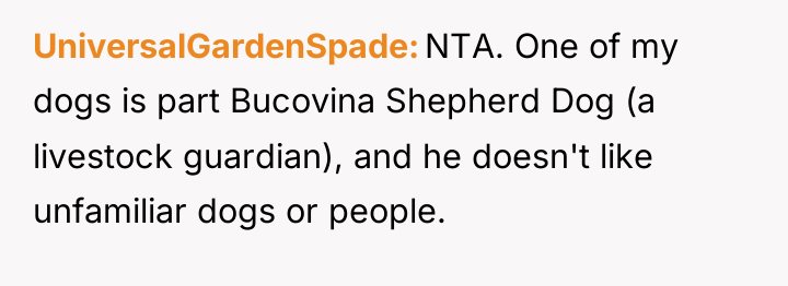 UniversalGardenSpade NTA. One of my dogs is part Bucovina Shepherd...