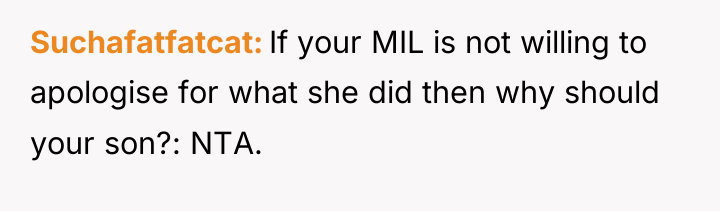 Suchafatfatcat If your MIL is not willing to apologise for...