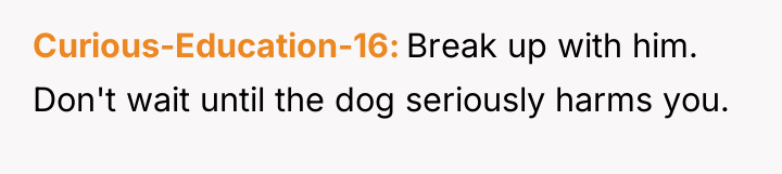 Curious-Education-16 Break up with him. Don't wait until the dog...