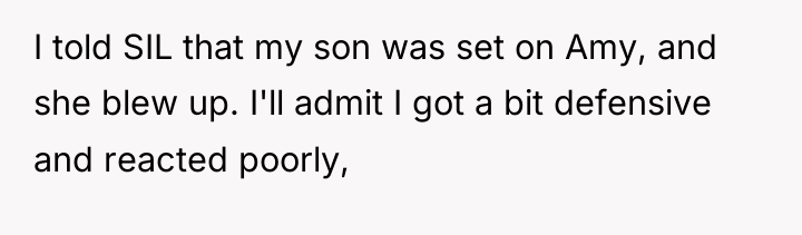 I told SIL that my son was set on Amy,...