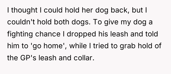 I thought I could hold her dog back, but I...