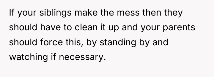If your siblings make the mess then they should have...