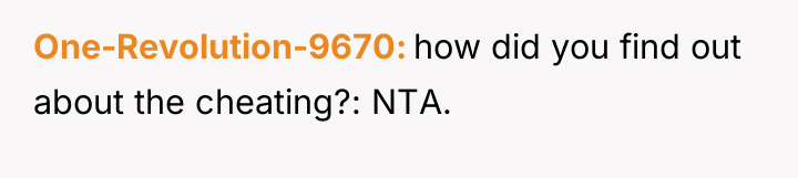 One-Revolution-9670 how did you find out about the cheating?: NTA.