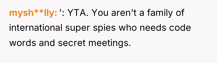 mysh**lly ': YTA. You aren't a family of international super...