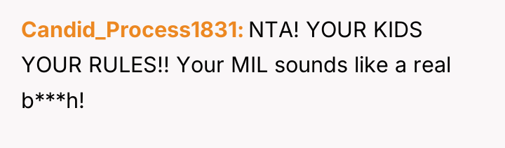 Candid_Process1831 NTA! YOUR KIDS YOUR RULES!! Your MIL sounds like...