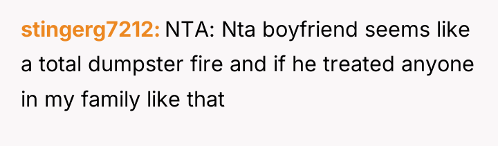 stingerg7212 NTA: Nta boyfriend seems like a total dumpster fire...