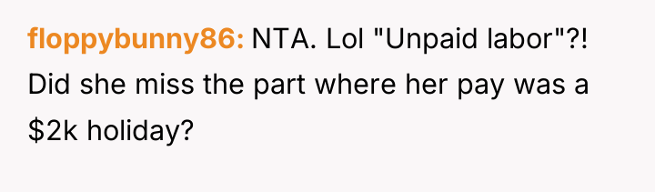 floppybunny86 NTA. Lol "Unpaid labor"?! Did she miss the part...