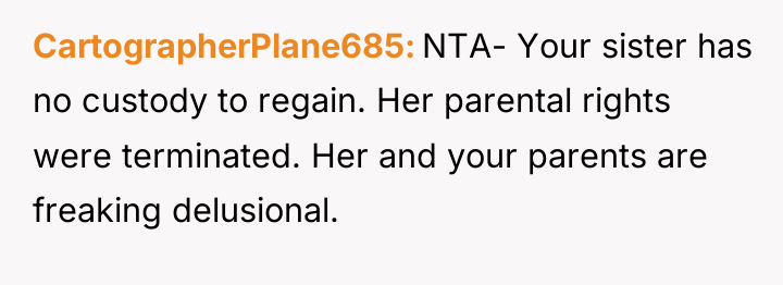 CartographerPlane685 NTA- Your sister has no custody to regain. Her...