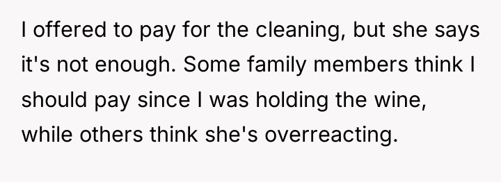 I offered to pay for the cleaning, but she says...