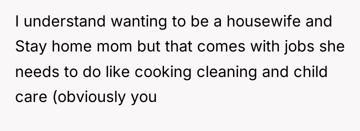 I understand wanting to be a housewife and Stay home...