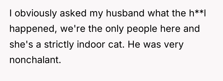 I obviously asked my husband what the h**l happened, we're...