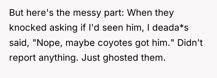 But here's the messy part: When they knocked asking if...