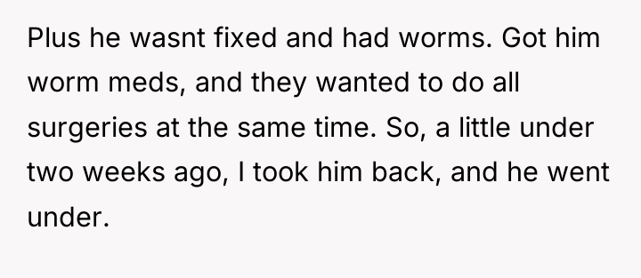 Plus he wasnt fixed and had worms. Got him worm...