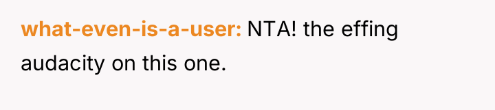 what-even-is-a-user NTA! the effing audacity on this one.