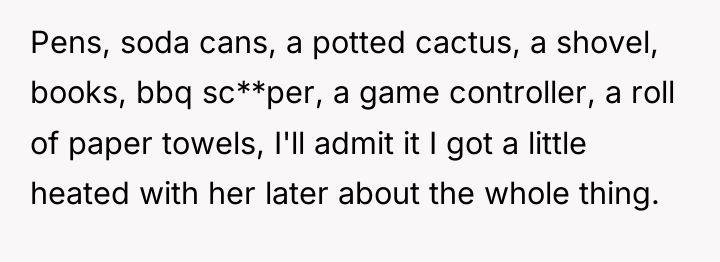 Pens, soda cans, a potted cactus, a shovel, books, bbq...