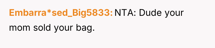 Embarra*sed_Big5833 NTA: Dude your mom sold your bag.