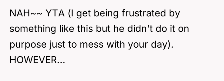 NAH~~ YTA (I get being frustrated by something like this...