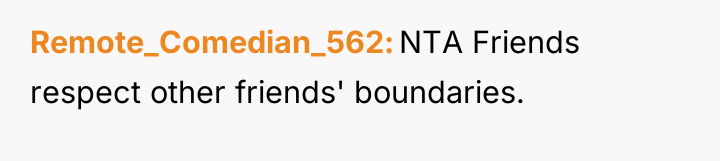 Remote_Comedian_562 NTA Friends respect other friends' boundaries.