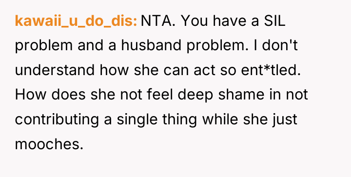 kawaii_u_do_dis NTA. You have a SIL problem and a husband...