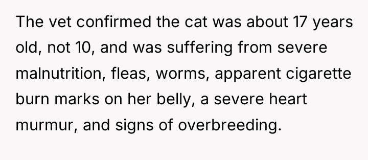 The vet confirmed the cat was about 17 years old,...