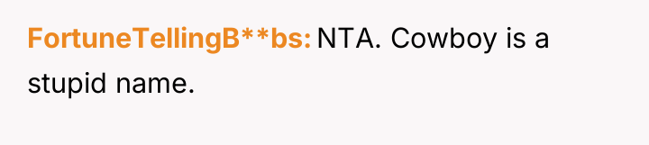 FortuneTellingB**bs NTA. Cowboy is a stupid name.