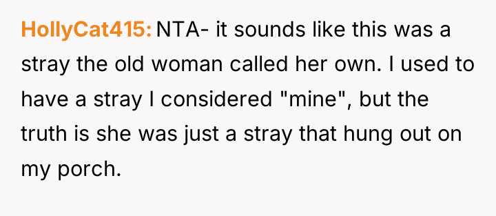 HollyCat415 NTA- it sounds like this was a stray the...