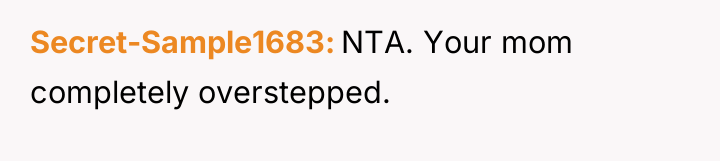 Secret-Sample1683 NTA. Your mom completely overstepped.